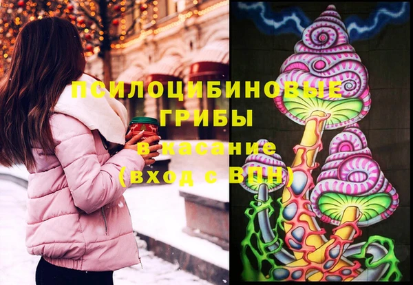 ГАЛЛЮЦИНОГЕННЫЕ ГРИБЫ Верхний Тагил