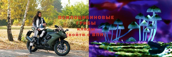 ГАЛЛЮЦИНОГЕННЫЕ ГРИБЫ Верхний Тагил