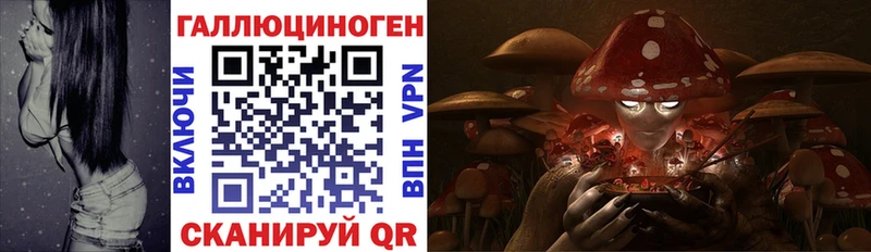 купить наркотик  Челябинск  Псилоцибиновые грибы ЛСД 